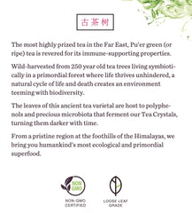 Pu'er Green Tea (Special Offer)